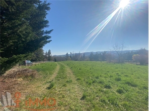 terrain à la vente -   42130  BOEN SUR LIGNON, surface 2135 m2 vente terrain - UBI462584810